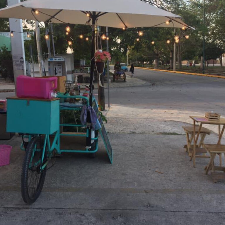 Chubby Foodbike