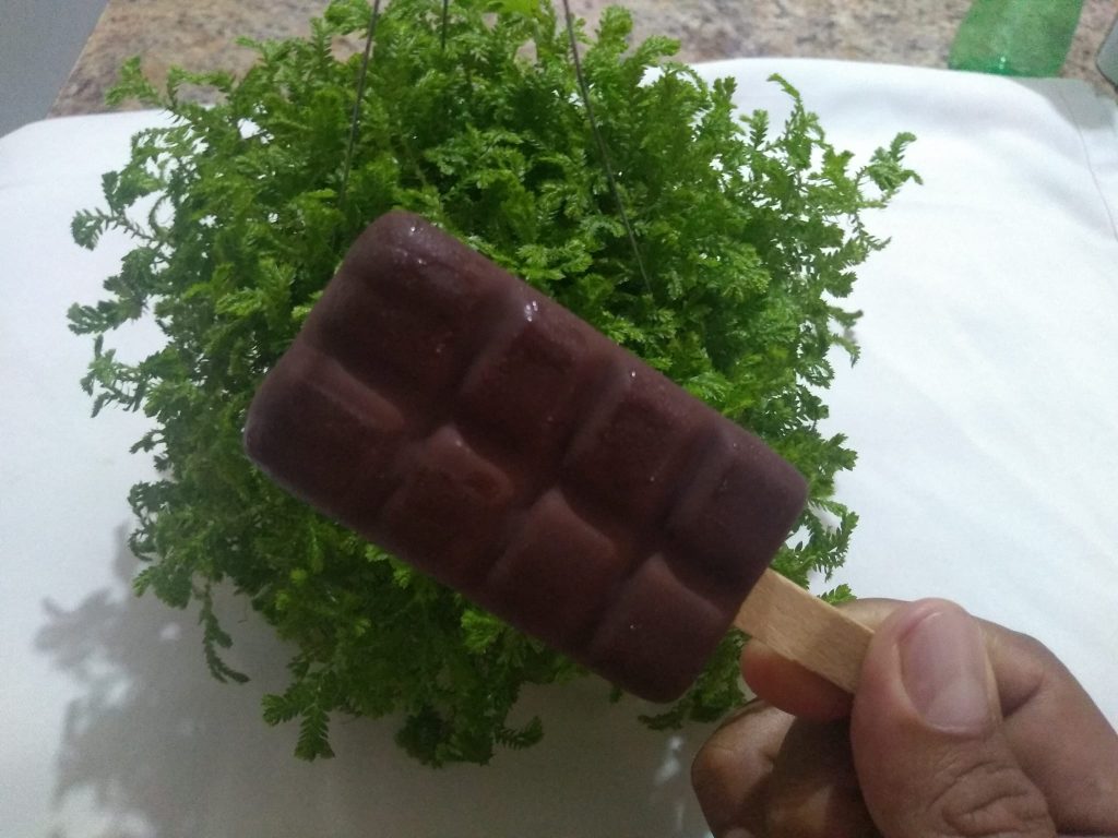 Helados y Paletas Auriux