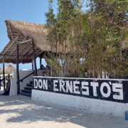 Don Ernestos