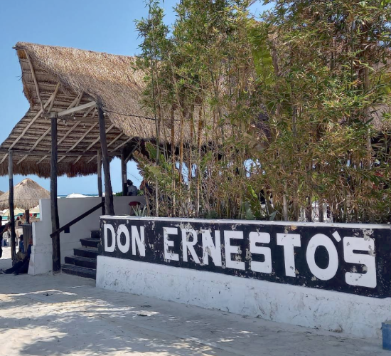 Don Ernestos