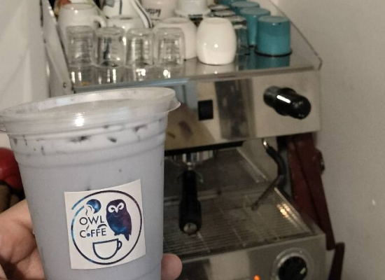 Owl Coffee