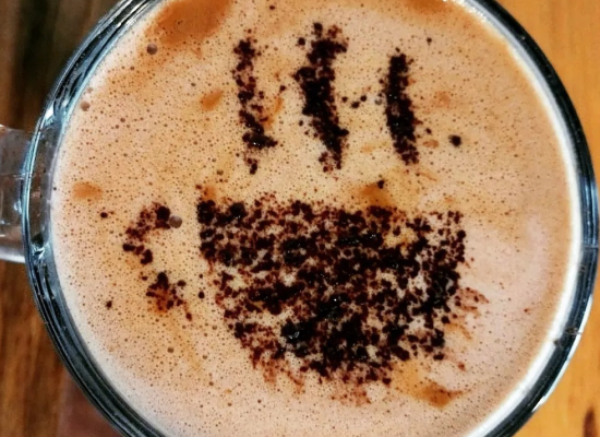 Inmortal Barra de Café